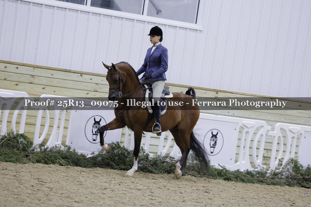 Proof 25R13_09075
