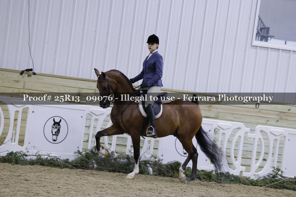 Proof 25R13_09076