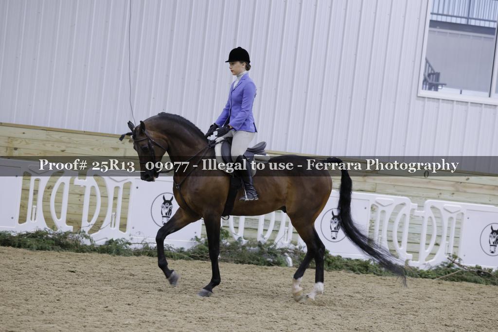 Proof 25R13_09077