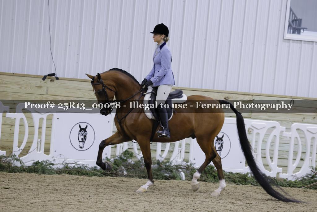 Proof 25R13_09078