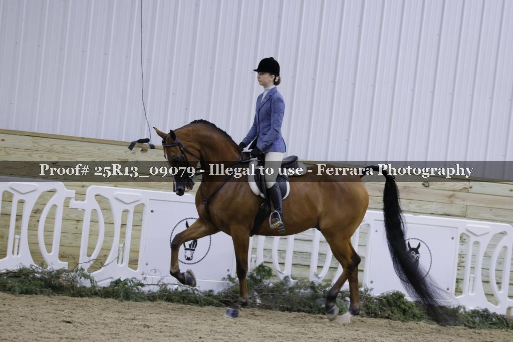 Proof 25R13_09079