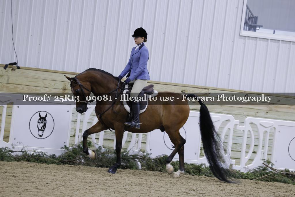 Proof 25R13_09081