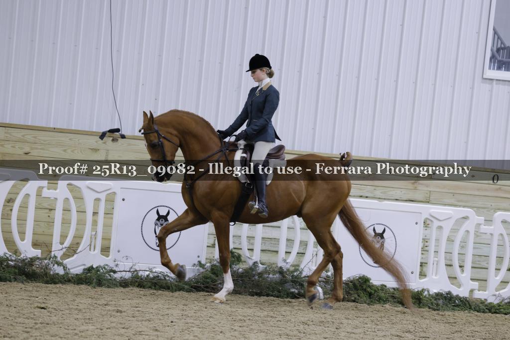 Proof 25R13_09082