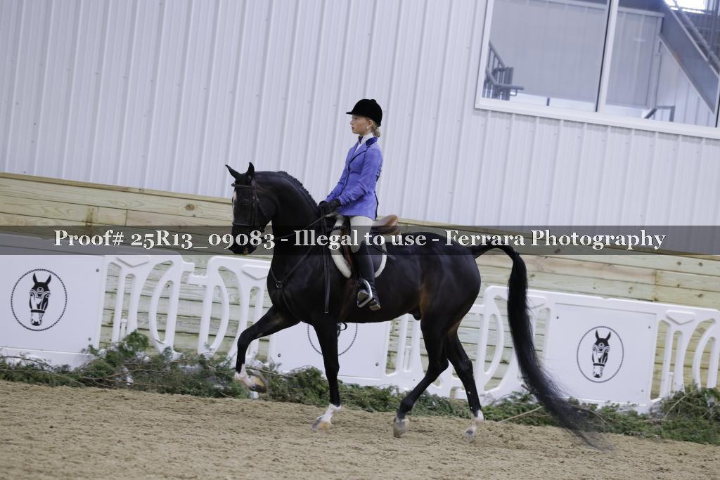 Proof 25R13_09083