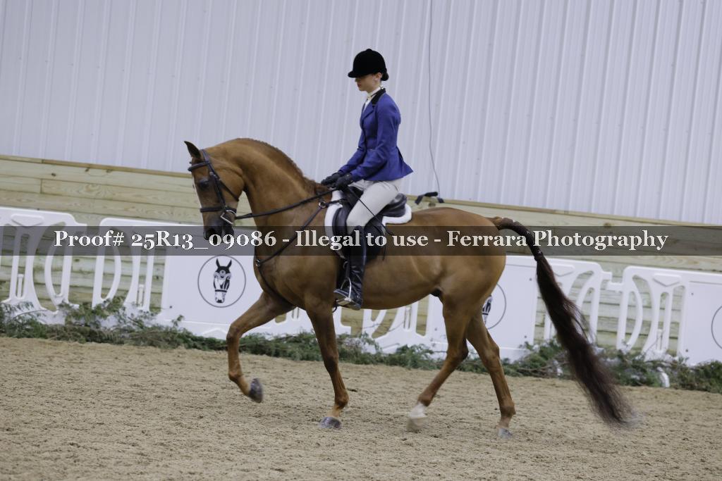 Proof 25R13_09086