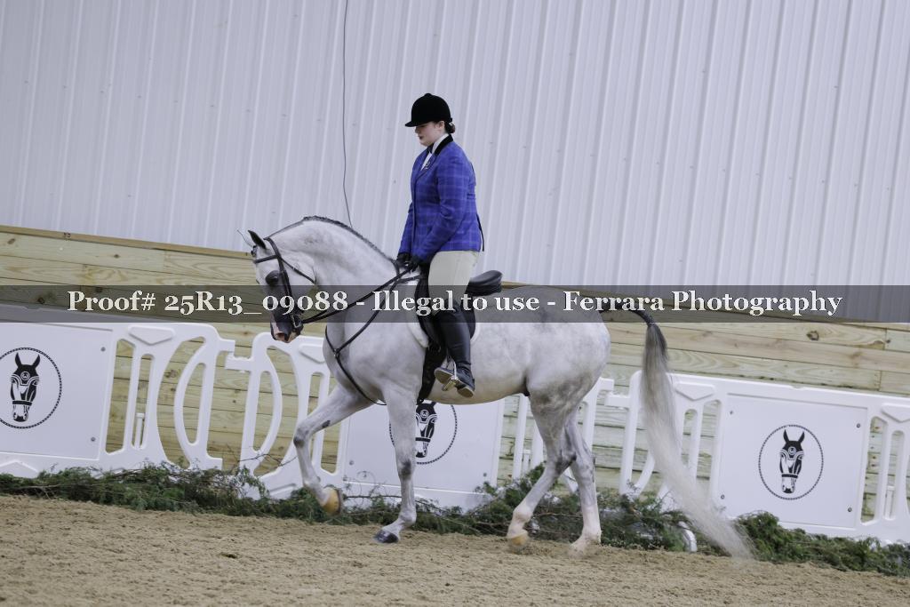 Proof 25R13_09088