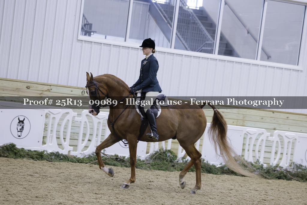Proof 25R13_09089