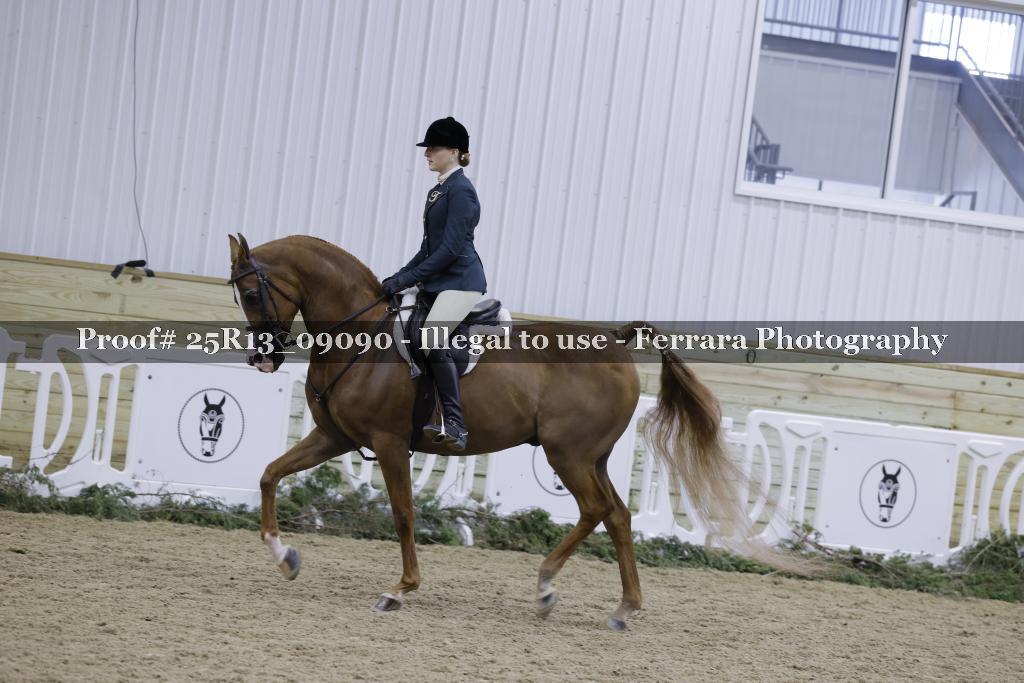 Proof 25R13_09090