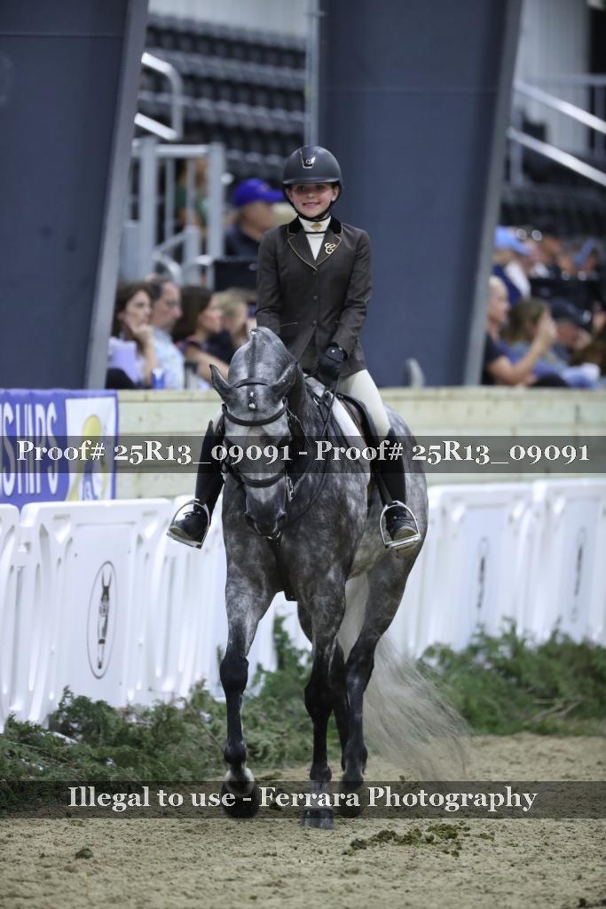 Proof 25R13_09091