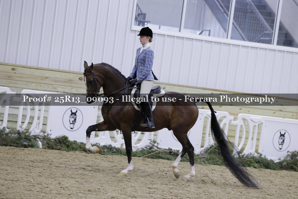 Proof 25R13_09093