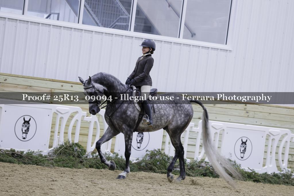 Proof 25R13_09094