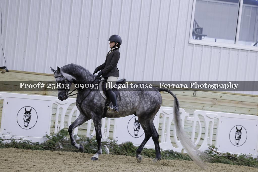 Proof 25R13_09095
