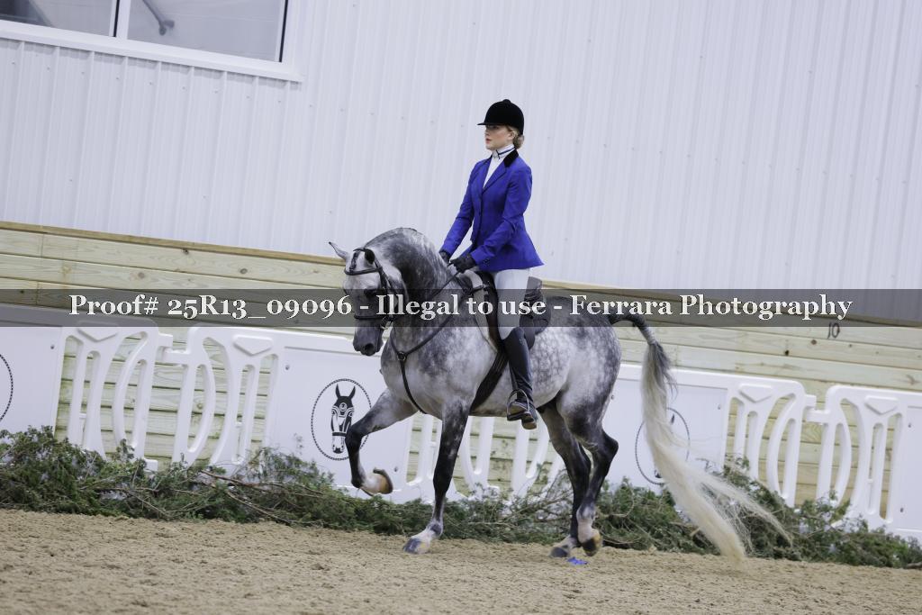 Proof 25R13_09096