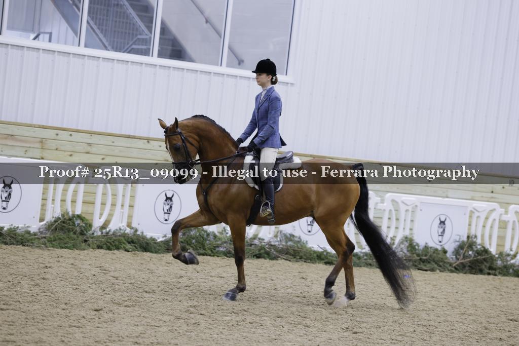 Proof 25R13_09099