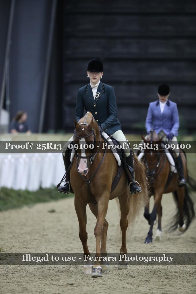 Proof 25R13_09100