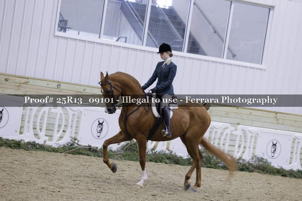 Proof 25R13_09101