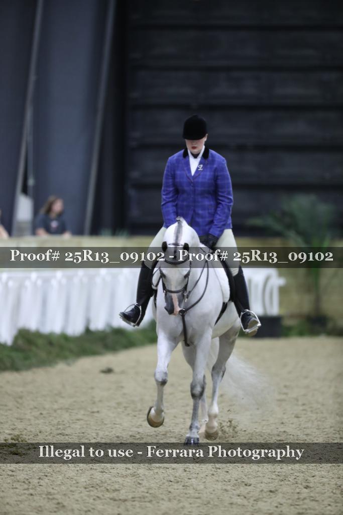 Proof 25R13_09102