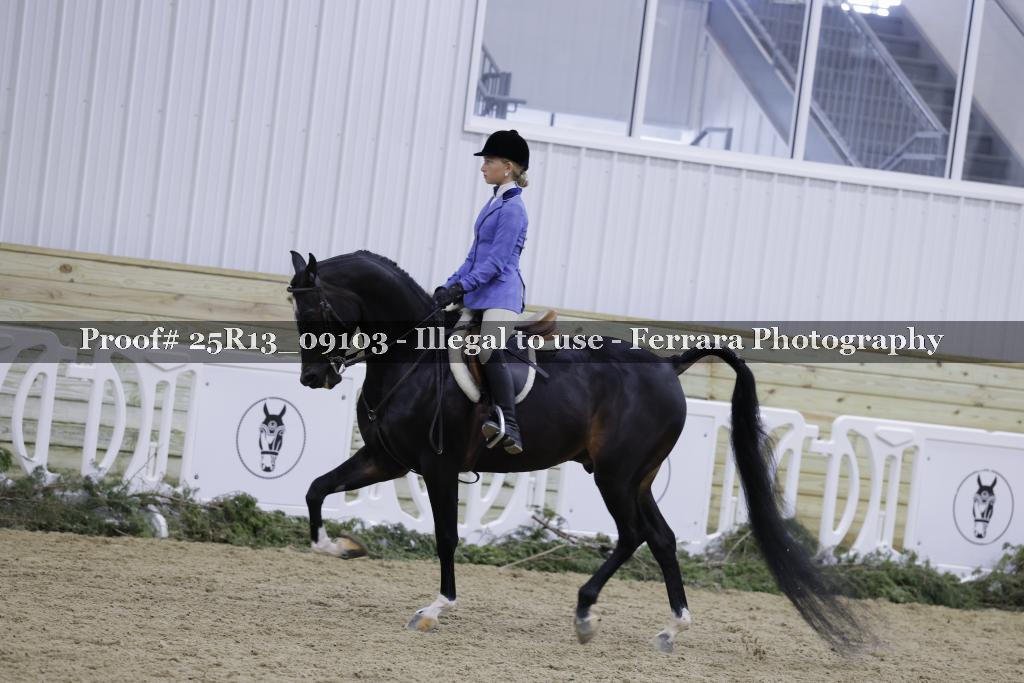 Proof 25R13_09103