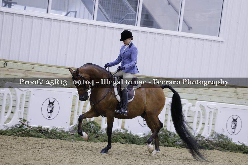 Proof 25R13_09104