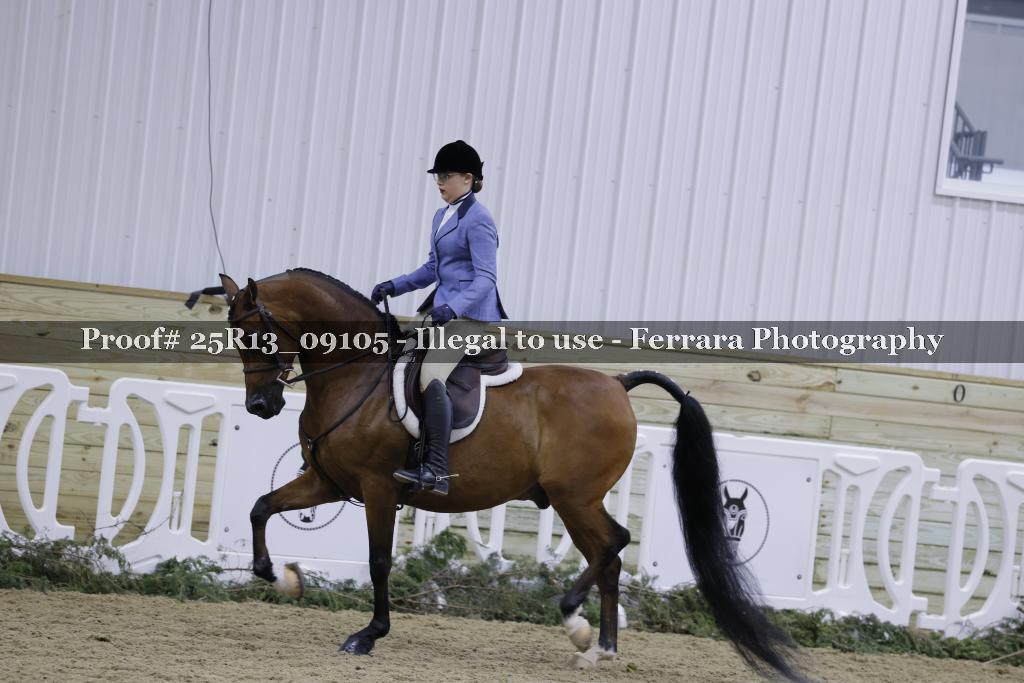Proof 25R13_09105