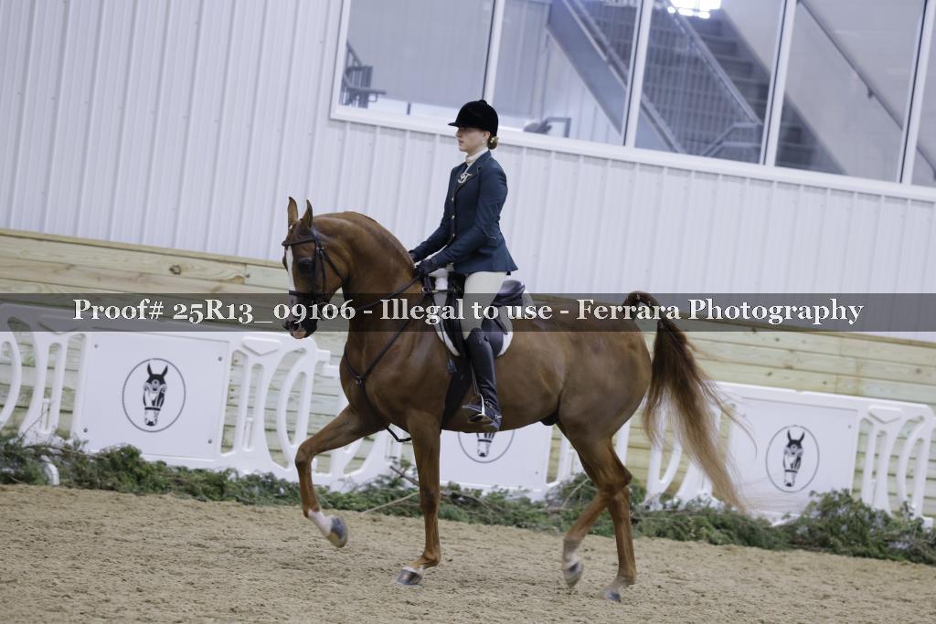 Proof 25R13_09106