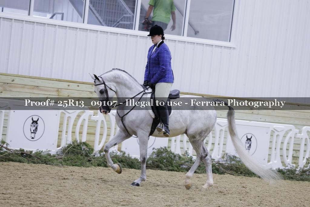 Proof 25R13_09107