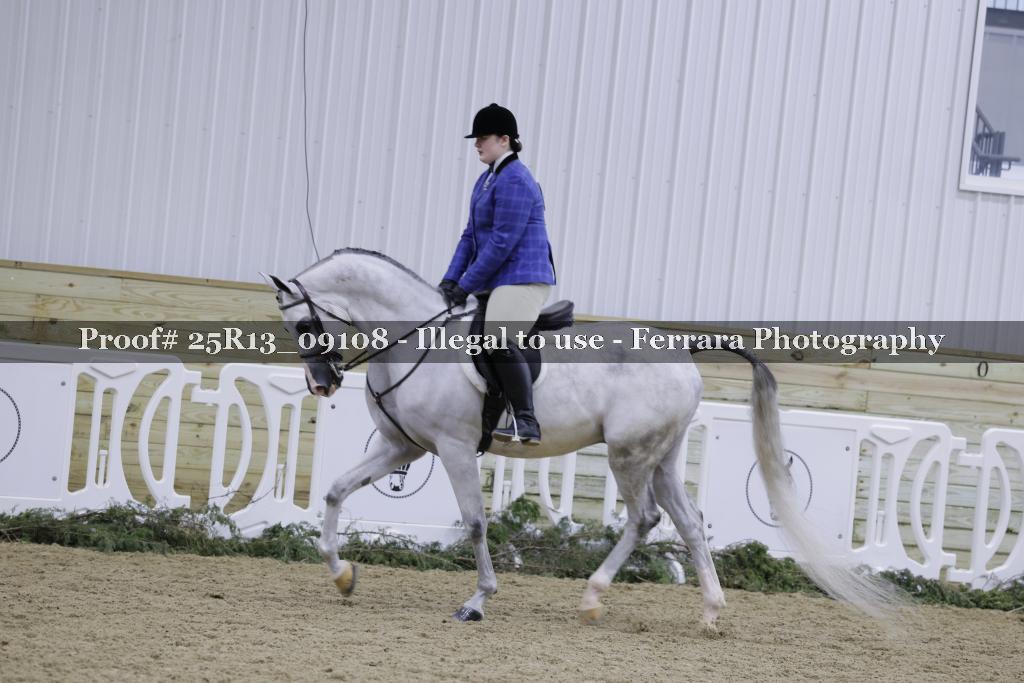 Proof 25R13_09108