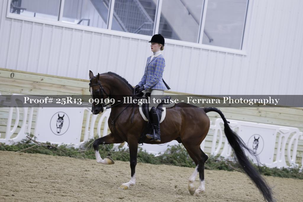 Proof 25R13_09109