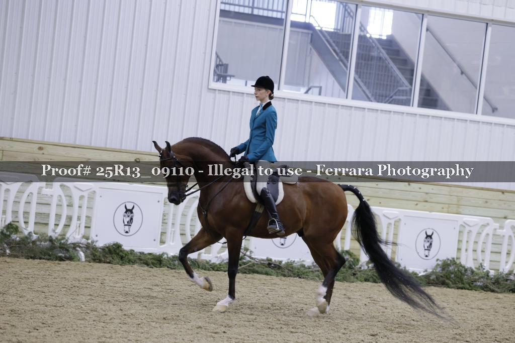 Proof 25R13_09110