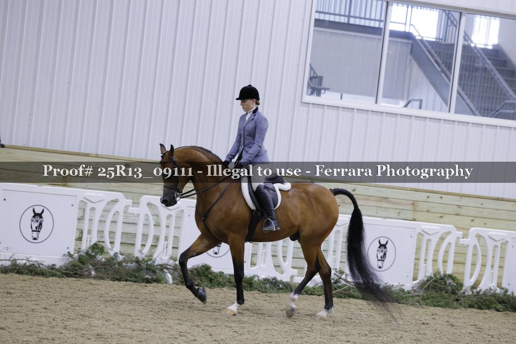 Proof 25R13_09111