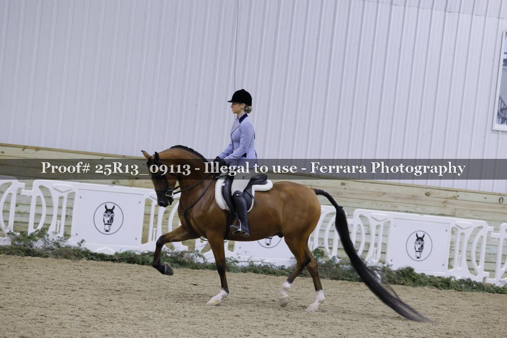 Proof 25R13_09113