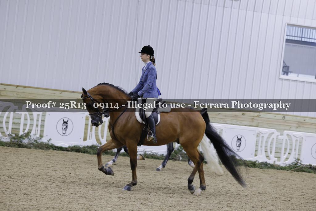 Proof 25R13_09114