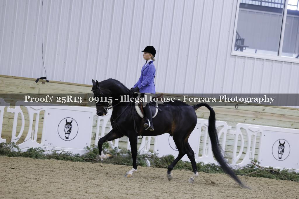 Proof 25R13_09115