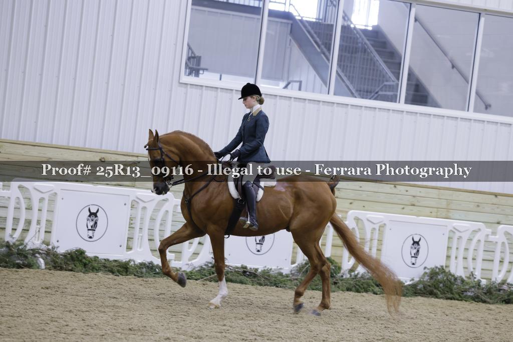 Proof 25R13_09116