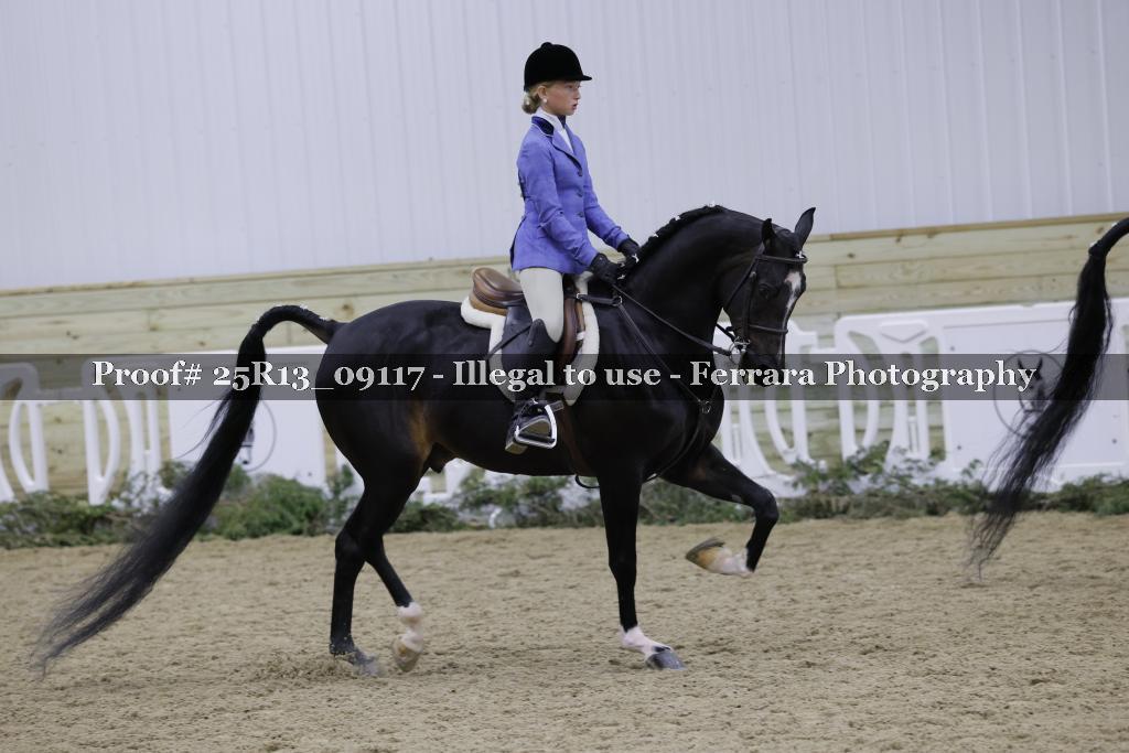 Proof 25R13_09117
