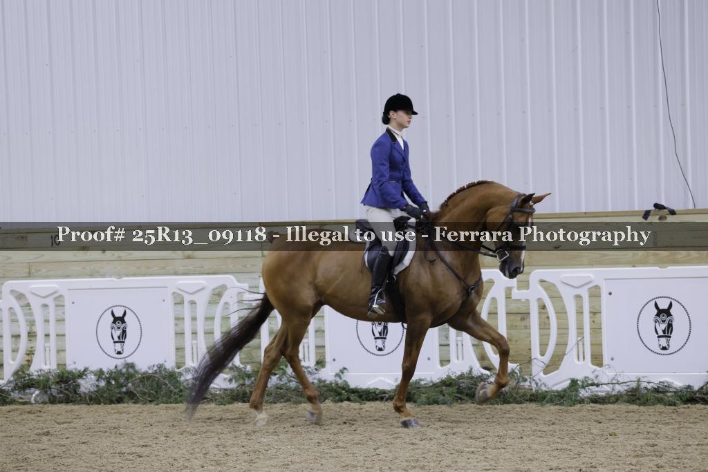 Proof 25R13_09118