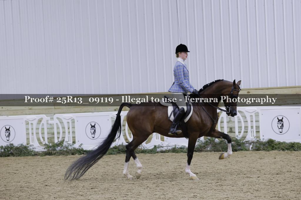 Proof 25R13_09119