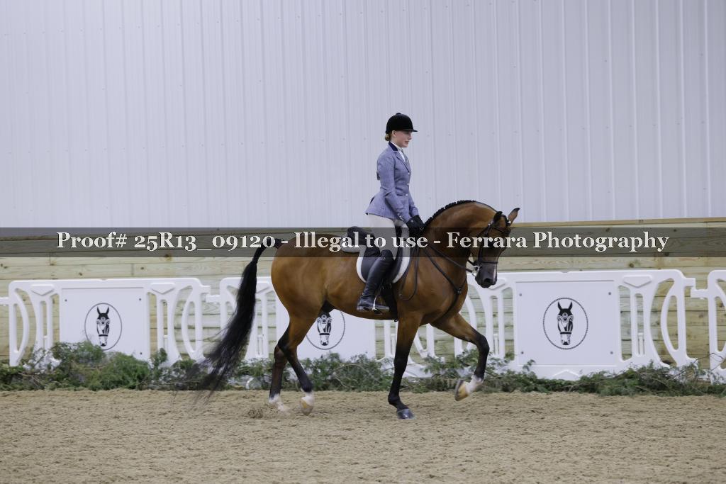 Proof 25R13_09120