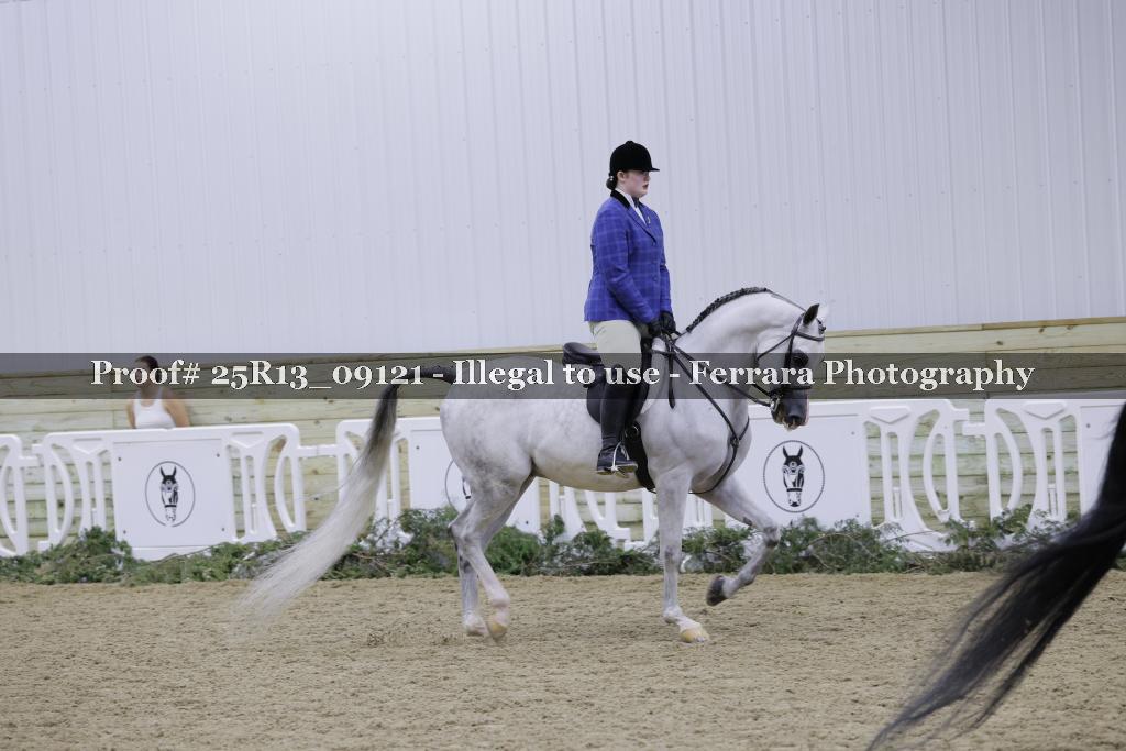 Proof 25R13_09121