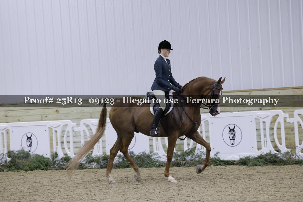 Proof 25R13_09123