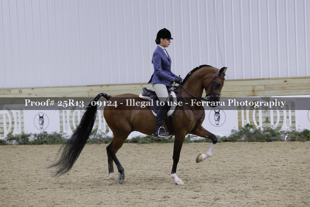 Proof 25R13_09124
