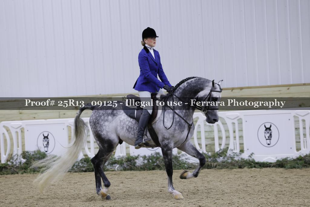Proof 25R13_09125