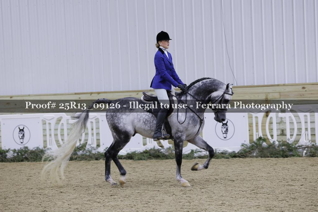 Proof 25R13_09126