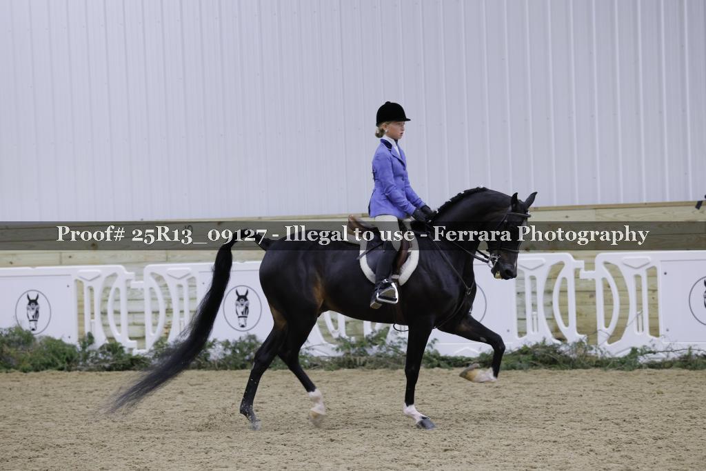 Proof 25R13_09127