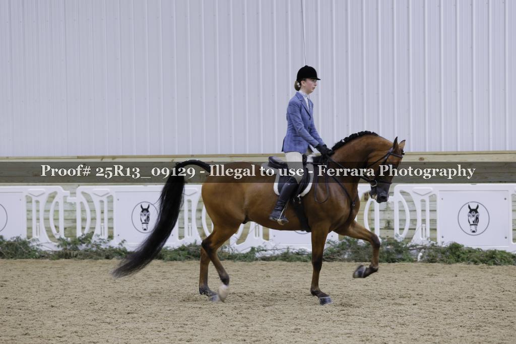 Proof 25R13_09129