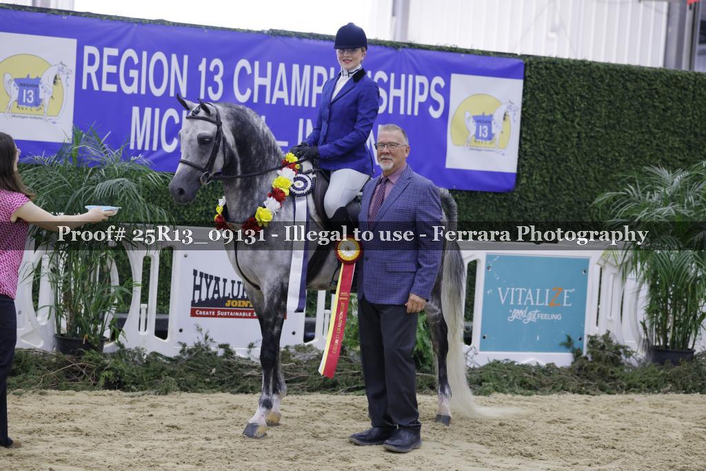 Proof 25R13_09131