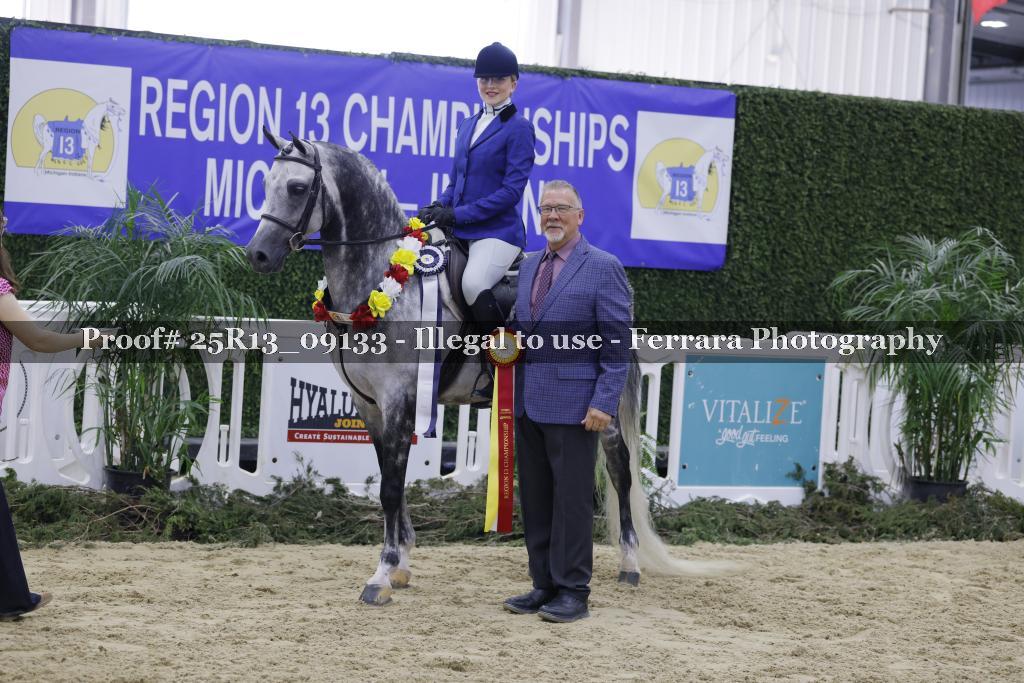 Proof 25R13_09133