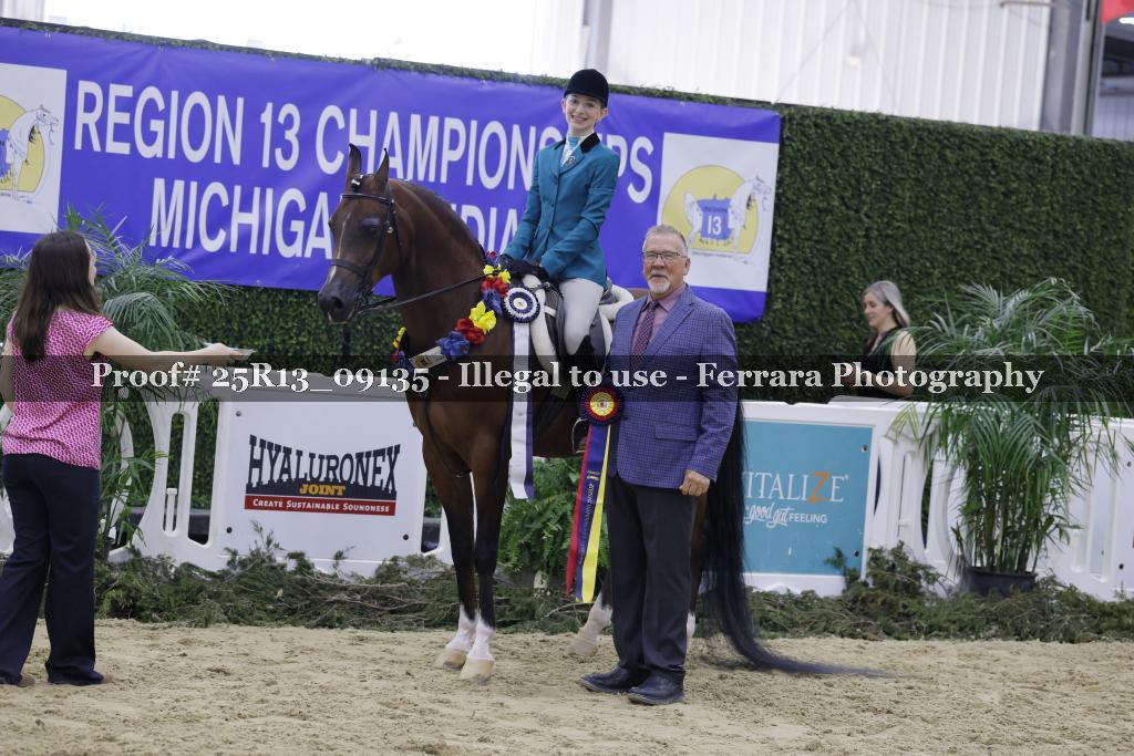 Proof 25R13_09135