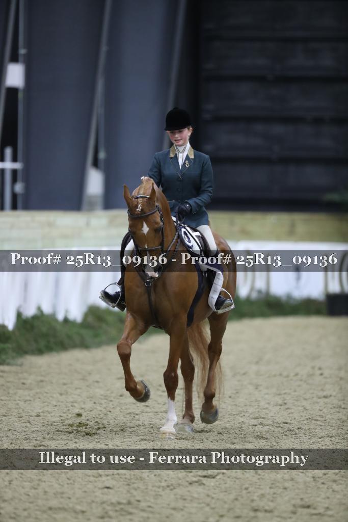 Proof 25R13_09136