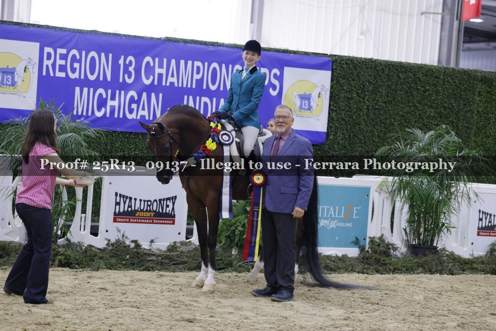 Proof 25R13_09137